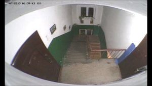 Жуткая тварь притаилась в подъезде