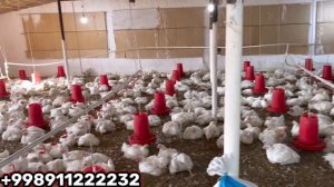 BROLER BOQUVCHI AKA BOR GAPNI AYTDI BROLER BOQISH BIZNESI