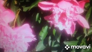 Ольга Уралочка и Сафар.