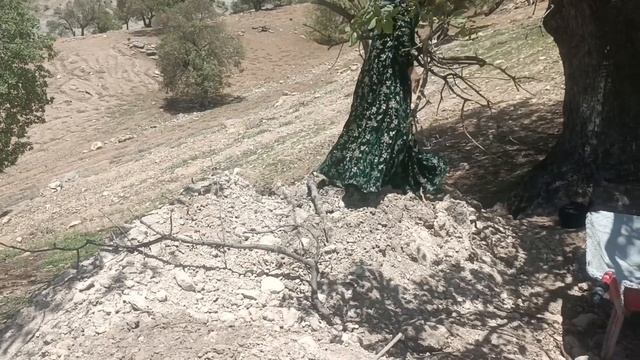 Seifullah's Family Gathering: A Nomadic Life Documentary Featuring Ziba and Her Daughter Maryam смотреть онлайн