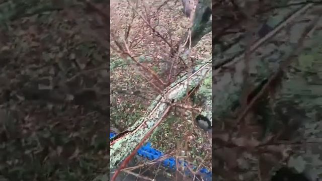 Как воровать электроэнергию нельзя! смотреть онлайн