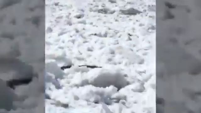 Половодье в Ассы 2021 смотреть онлайн