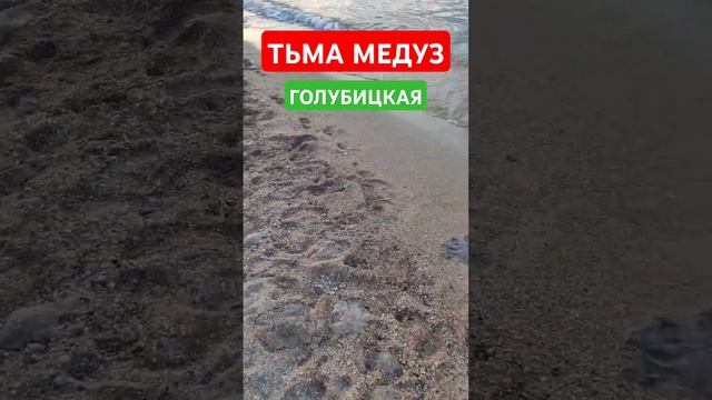 ТЬМА МЕДУЗ В ГОЛУБИЦКОЙ/КАКОЙ-ТО УЖАС/22 ИЮЛЯ 2024