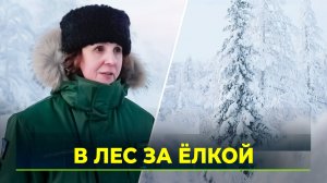 Лесничие Ямала вместе с полицейскими вышли в ёлочный патруль