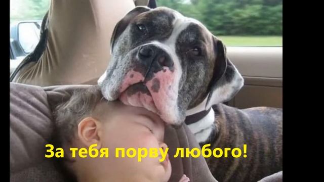 Преданные друзья