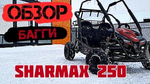 Мега обзор на багги!!!!! Новинка 2024 года! Sharmax тигр 250!