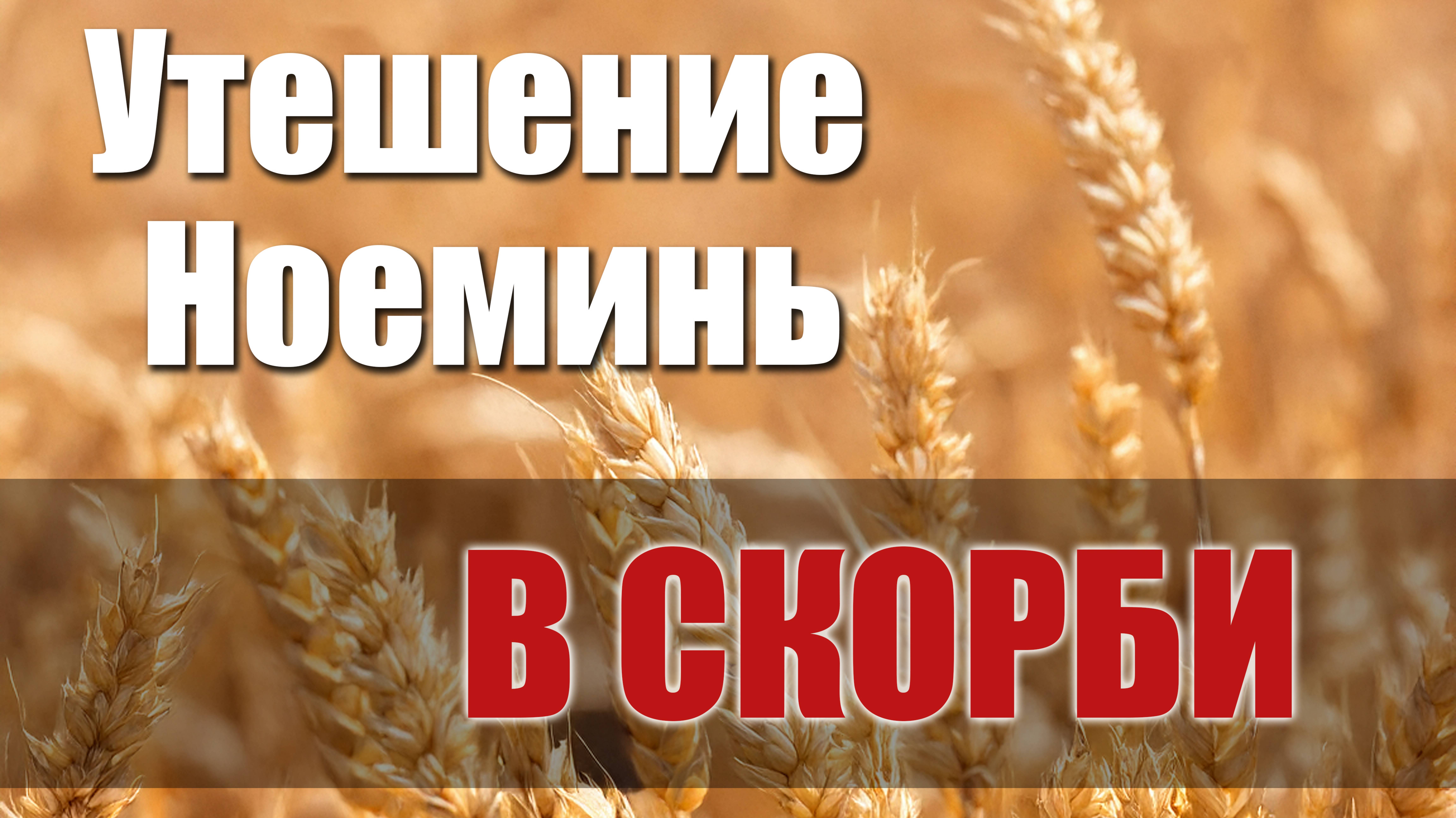 Утешение Ноеминь в скорби