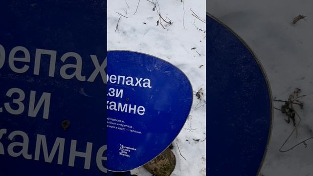 ТРОПА СКАЗОК: ЧЕРЕПАХА КВАЗИ НА КАМНЕ