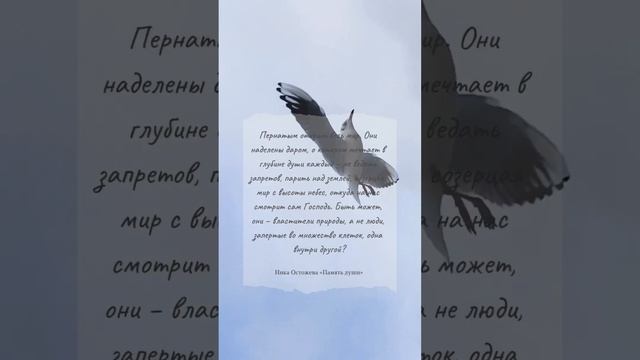 #цитата #цитатыизкниг #философия #мудрыеслова #потоксознания #птицы #небо #полет #крылья смотреть онлайн