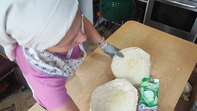 Не успеваю заквасить капусту 😱#влог#сибирь#дача#огород#капуста#заготовкиназиму смотреть онлайн