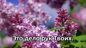 Славим, славим в песнопеньях