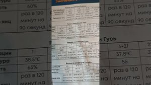 Инкубация для начинающих. Ряба - автоматический инкубатор. На сколько он автоматический ?