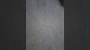 Прогулка по станции Мушкетово