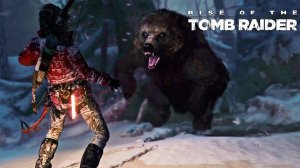 Битва с медведем.-Rise of the Tomb Raider(#3)