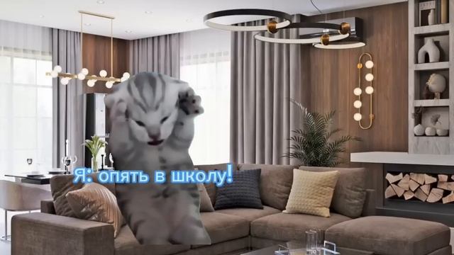 Кошачья жизнь 🐱 Все серии (1 - 3) Сборник #1