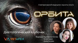 ОРБИТА ( запись эфира от 27.12.2024) с Екатериной Ниговой, Анной Суаро и Анной Линевой