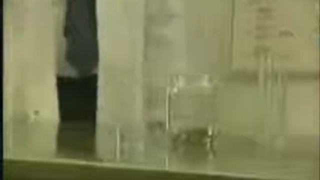 Короткий ролик про БЛОХ Философский ролик, стоит задуматься! смотреть онлайн