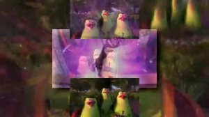 YTPMV - The Penguins of Madagascar Scan