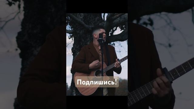 Подпишись! Посмотри на стаю журавлей. #музика #українськамузика #music #recommended #top