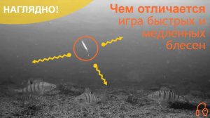 Чем быстрые блесны отличаются от медленных