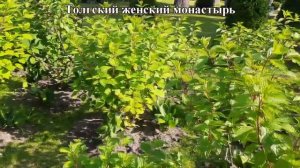 ТОЛГСКИЙ МОНАСТЫРЬ