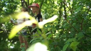 Кинолагерь Фиеста Клаб/ЭКОЛОГИЯ