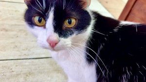 Макрону подтёрли сопли и дальше в путь!!! Добрался до М4 стоянка Адмирал!!!