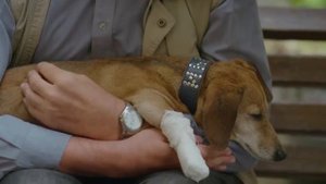 Котов обижать не рекомендуется 2018  2 серия  Детектив, Михалкова