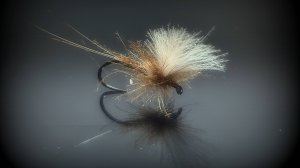 MayFly
