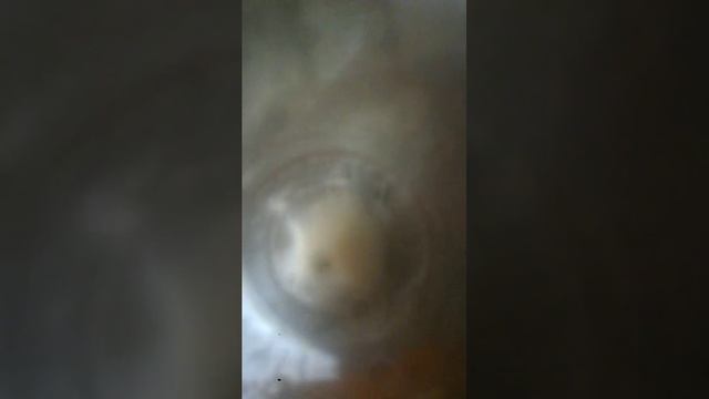 Яанчп опчпсрсм еаочвнвноев плаисосиввдьа
