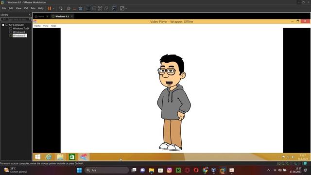 Wrapper Offline Test in Windows 8.1 VMware VM смотреть онлайн