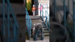 николаевск на амуре Только в Николаевске-на-Амуре такое можно снять