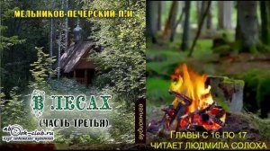 03.04 П. И. Мельников - Печерский "В лесах" (часть 3 главы с 16 по 17)