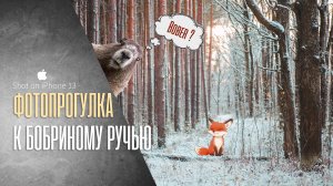 Vlog[s1e9] Бобриный ручей, заброшенный детский лагерь, фото прогулка по Малышевским гривам.