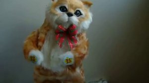 Поющий и танцующий кот игрушка