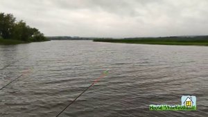 Рыбалка на донки под дождём