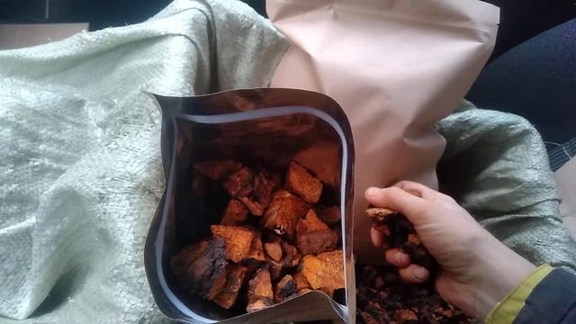 Упаковка гриба Чага в удобные бумажные пакеты с застёжкой.
