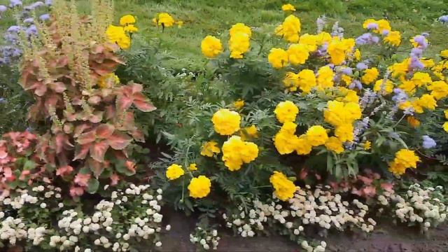 Петродворец- замечательное место для выходного дня