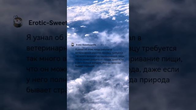 РЕДИТ - АБСУРДНЫЕ ФАКТЫ