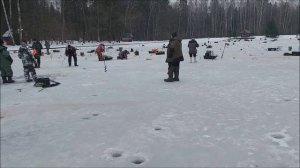 Поимки форели на актив и пассив. Клёвое место, Лосиный остров, нижний водоём.