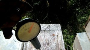 Пчеловодство.Beekeeping.Пересаживаю пойманные рои пчёл с леса в улья.Сколько весят ловушки.Сила роев