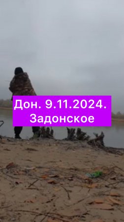 Дон. 9.11.2024. Задонское