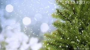 842 Старые дорожки 24.12.2023 г