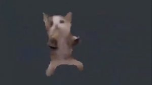 шни шна шнапи хорошее качество 1 час