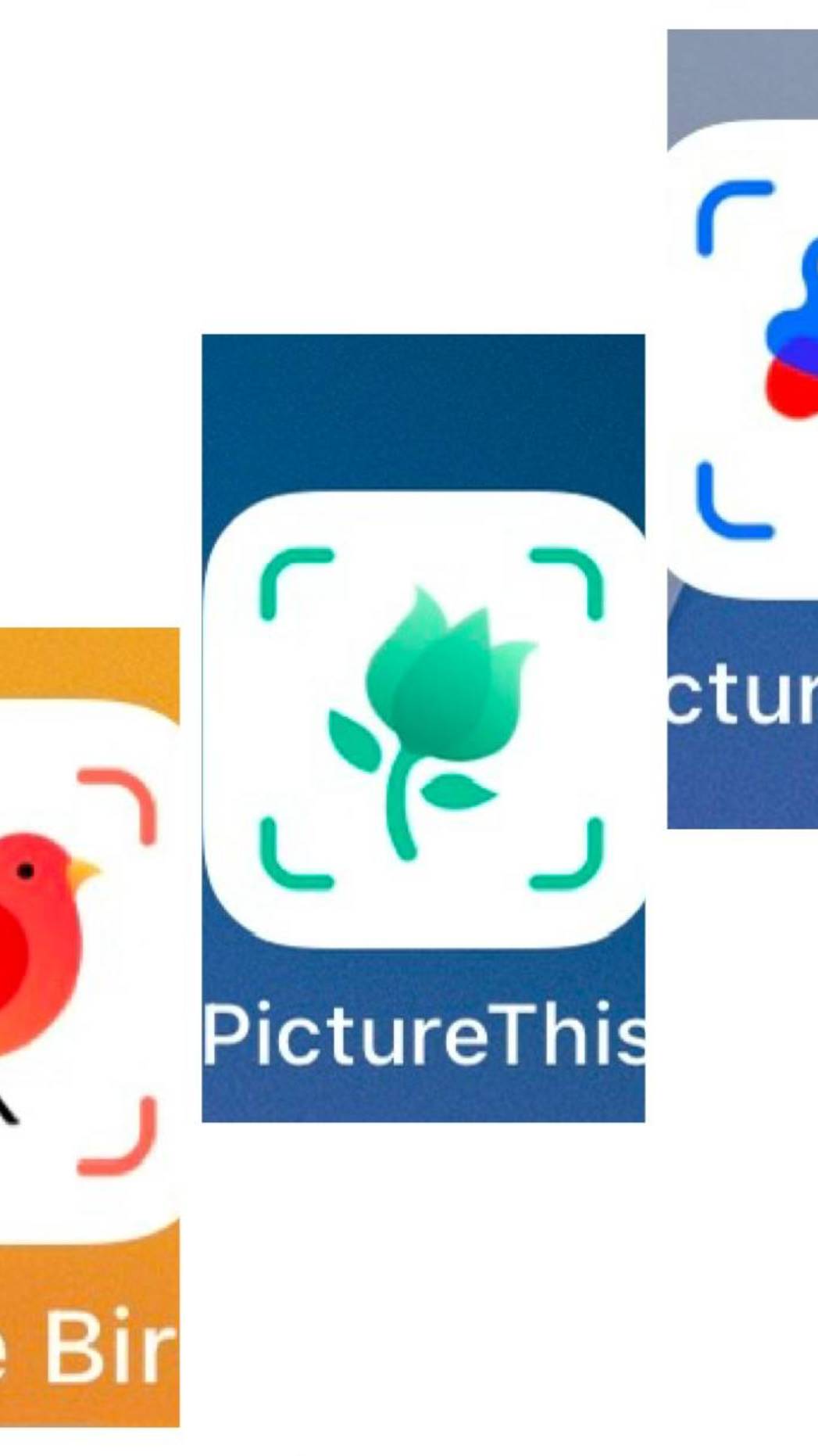 БЕСПЛАТНО /ОПРЕДЕЛИТЕЛЬ РАСТЕНИЙ / PICTURE THIS
#определить растений #сад #огород #путешествия смотреть онлайн