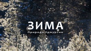 Зима
