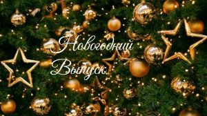Новогодний выпуск 24