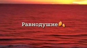 Грустное видео со смыслом, до слёз, про любовь|Душевные слова про любовь ❤️ #2