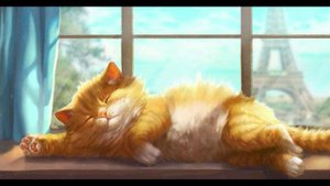 Сказка 17. Сказка про рыжего кота.