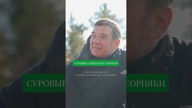 Суровые северные СОРНЯКИ? Дикая клюква